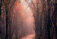 意媒:足协考察欧洲杯场地,尤文主场为当前唯一完全达标球场,尤文足球俱乐部