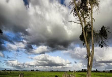 意媒:足协考察欧洲杯场地,尤文主场为当前唯一完全达标球场,尤文足球俱乐部