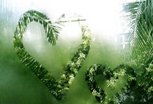 卢旺达国际板球旅游节7月到9月在卢旺达首都基加利举办,卢旺达体育场