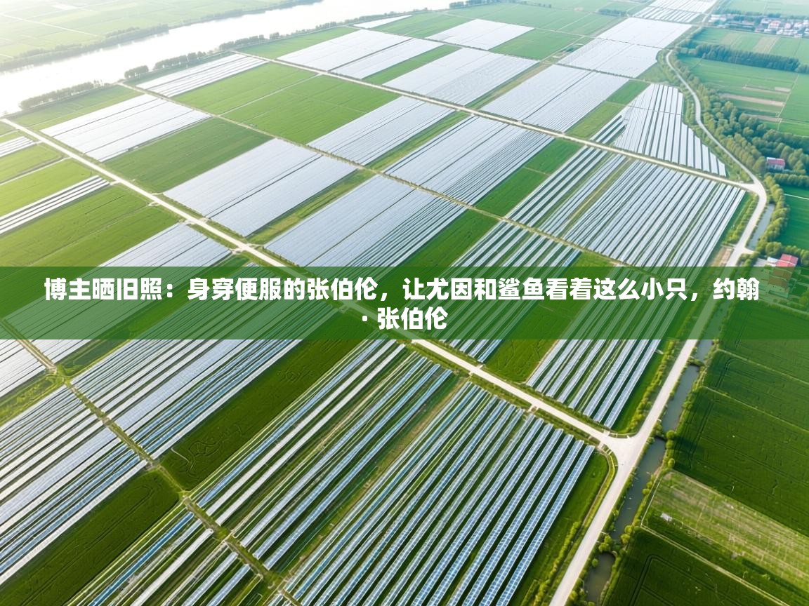 博主晒旧照：身穿便服的张伯伦，让尤因和鲨鱼看着这么小只，约翰 · 张伯伦  第1张