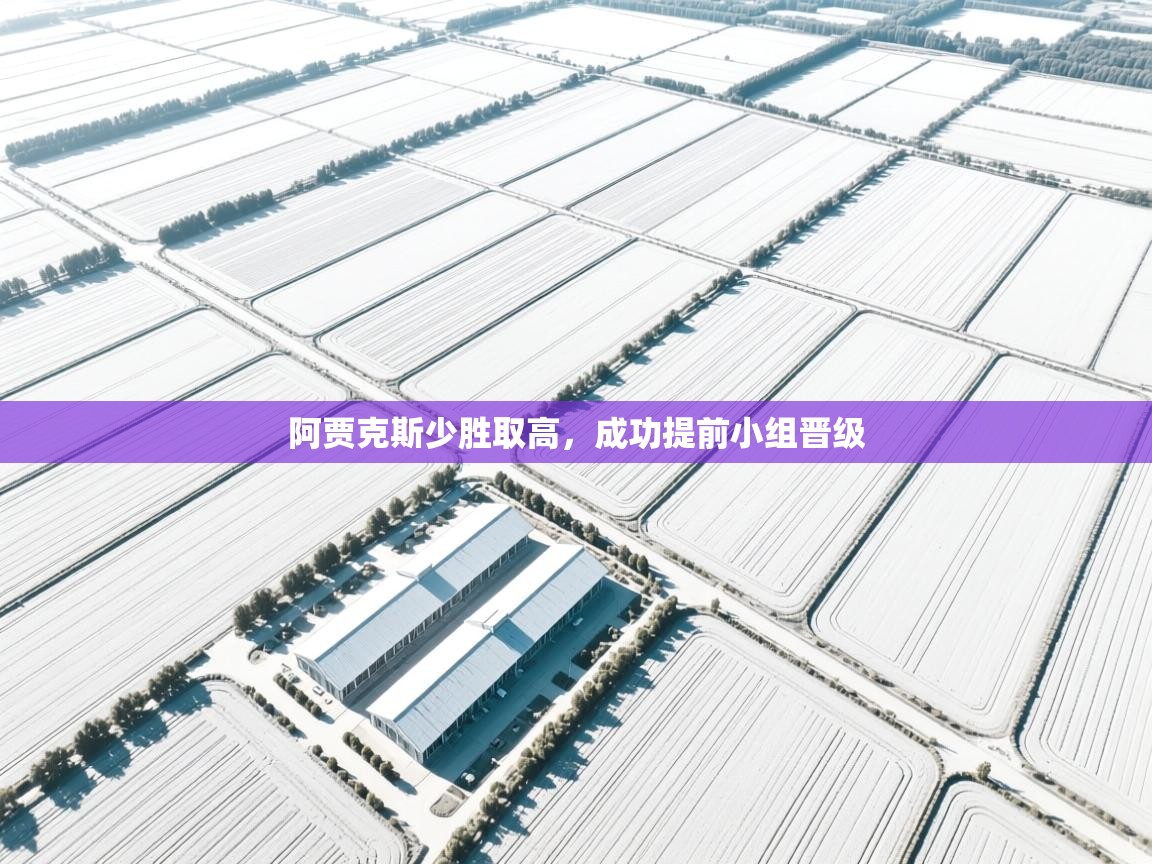 阿贾克斯少胜取高,成功提前小组晋级 第1张